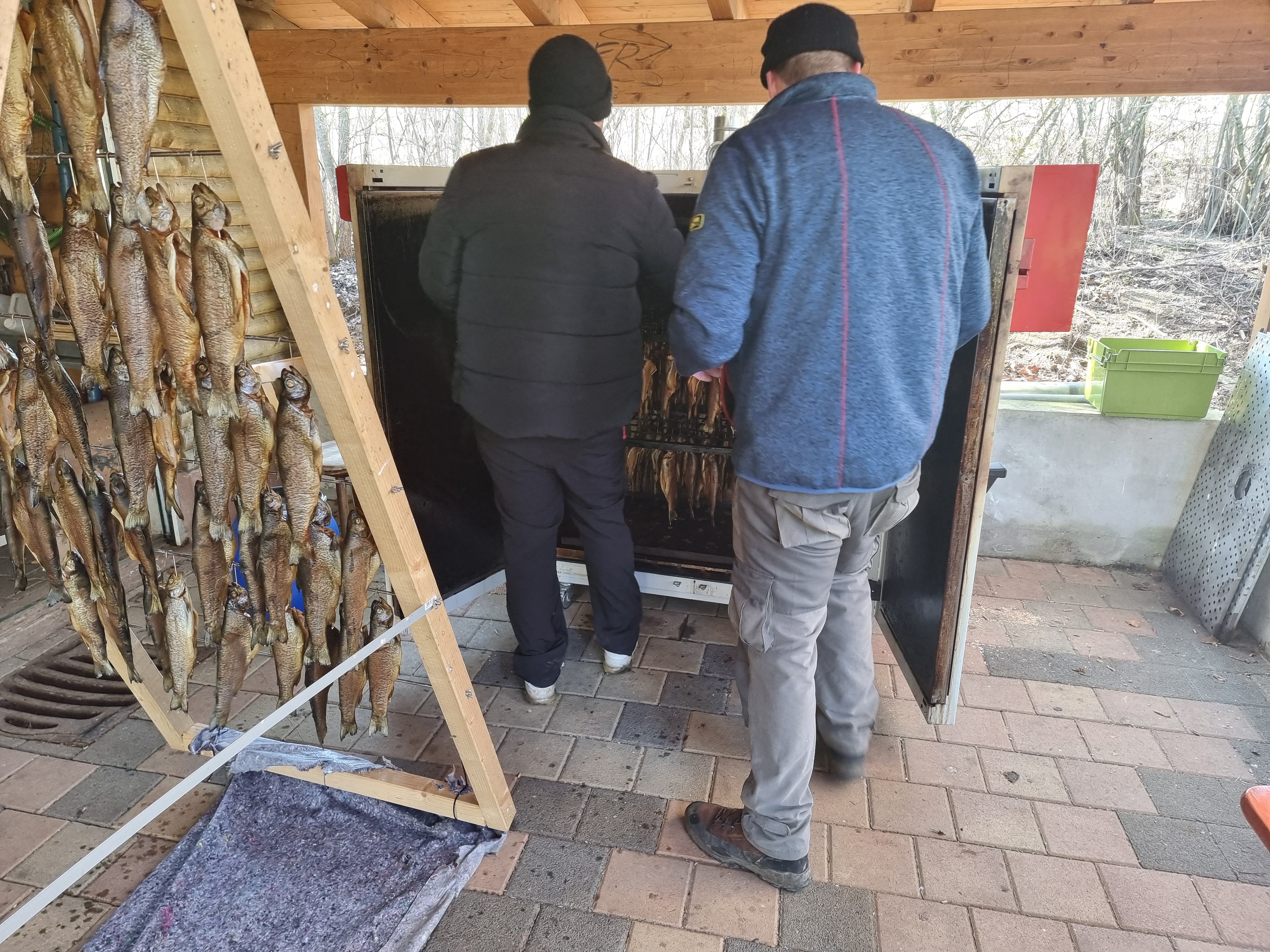 Galeriebild: 20230404 162956